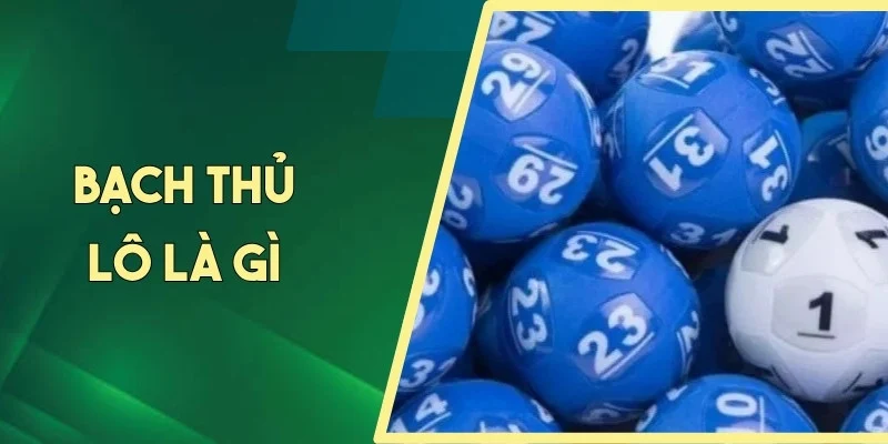 bạch thủ lô là gì