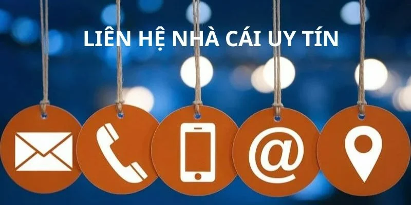Hỗ trợ nhanh chóng mọi lúc qua Zalo và chat trực tuyến