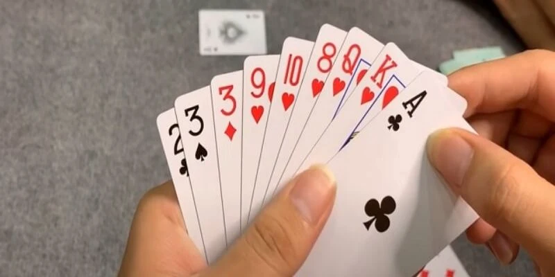 Học mẹo chơi Phỏm hiệu quả nên bắt đầu từ bước cơ bản